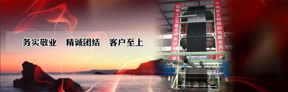 富思邁